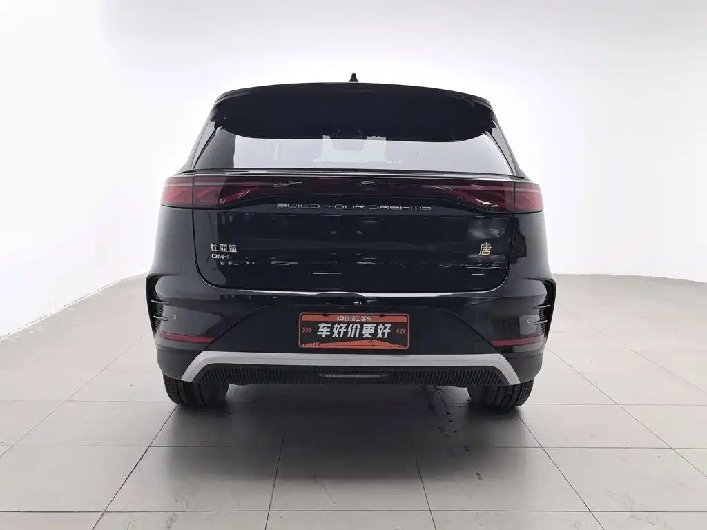 BYD Tang New Energy — миниатюра 4