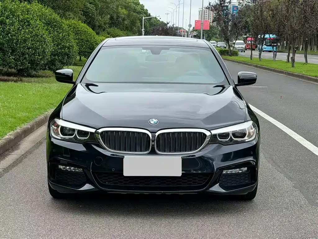 BMW 5 Series — миниатюра 2