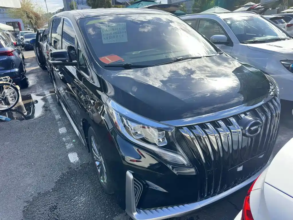 GAC Motor Trumpchi M8 — миниатюра 2