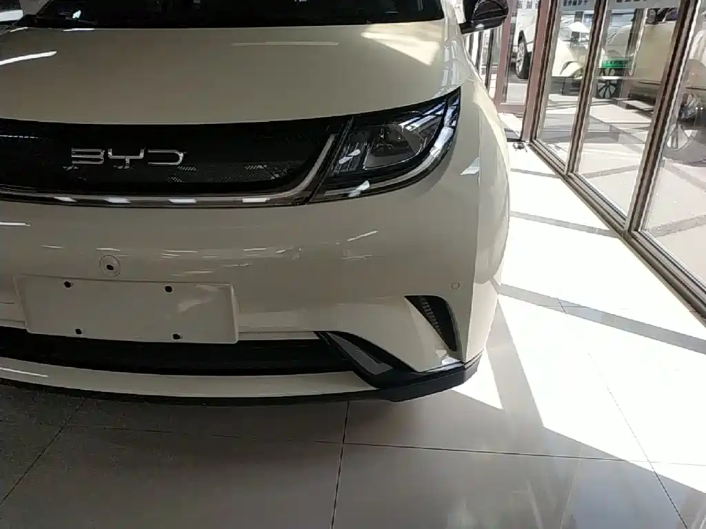 BYD Dolphin — миниатюра 24