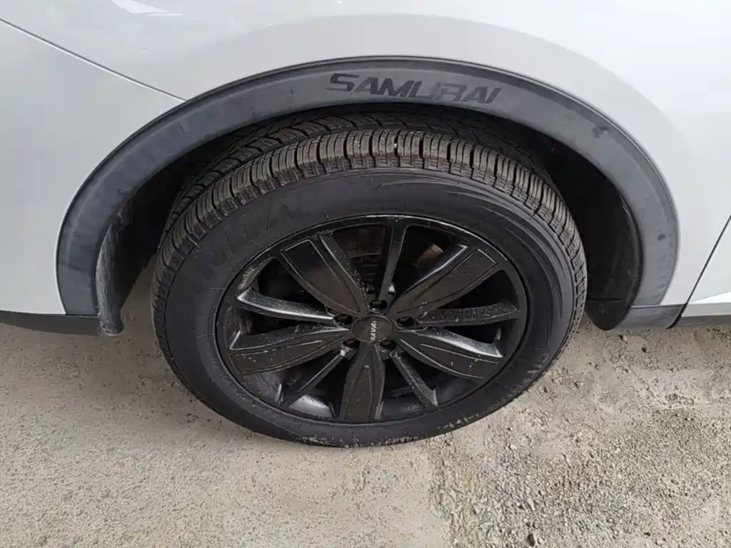 Haval H6 — миниатюра 23