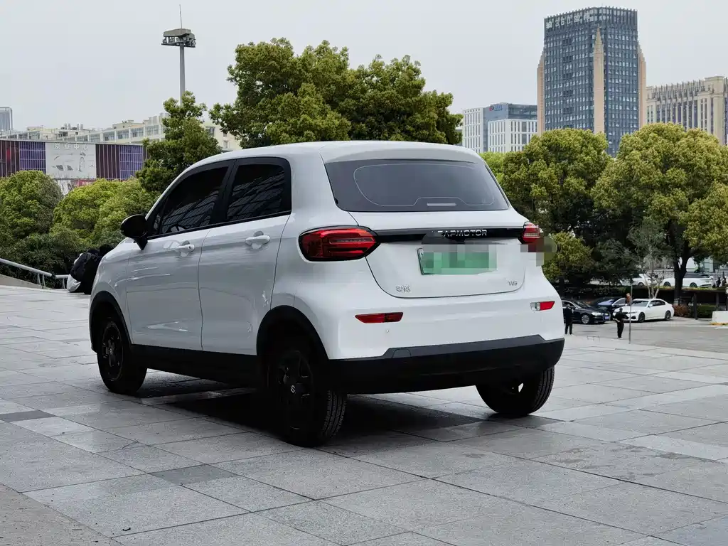 Leapmotor T03 2025 310
