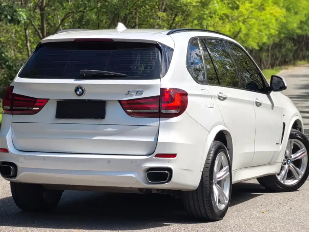 BMW X5 (Import) — миниатюра 6