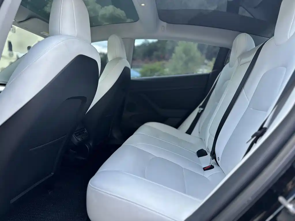 Tesla Model 3 — миниатюра 17