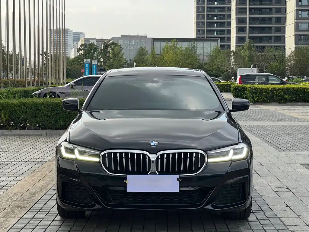 BMW 5 Series — миниатюра 2