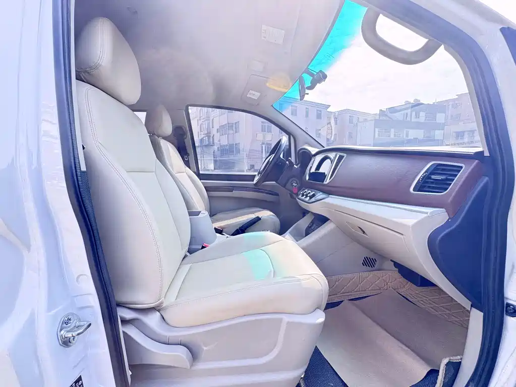 DONGFENG LINGZHI NEW ENERGY