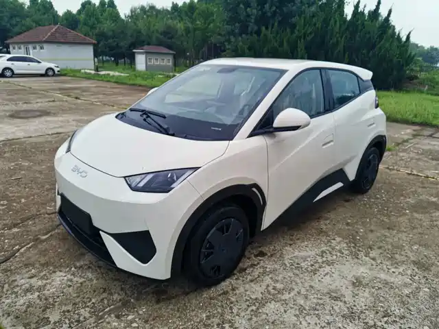 2026 BYD Seagull