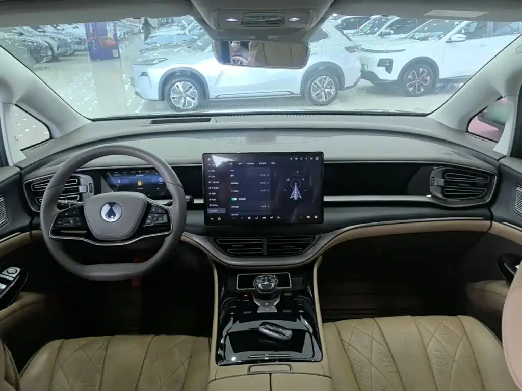 Denza Denza D9 — миниатюра 10