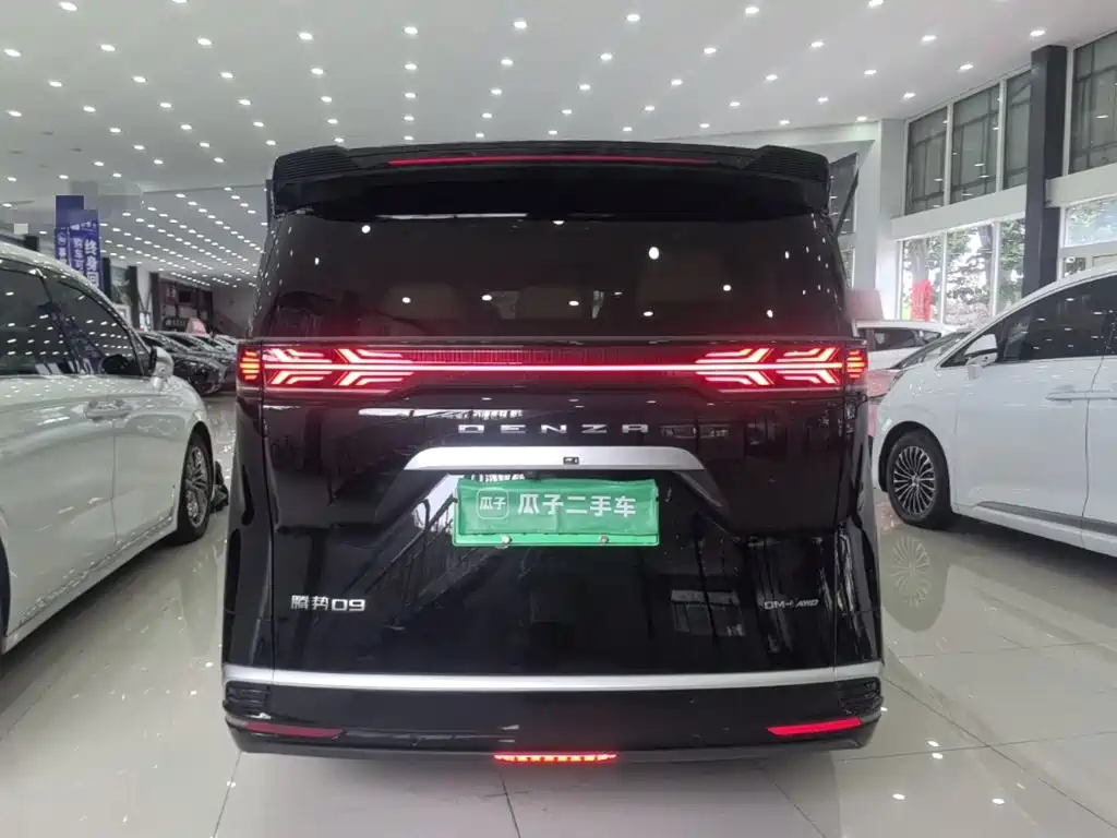 Denza Denza D9 — миниатюра 6