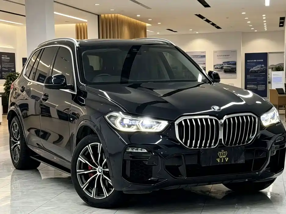 BMW X5 (Import) — миниатюра 2