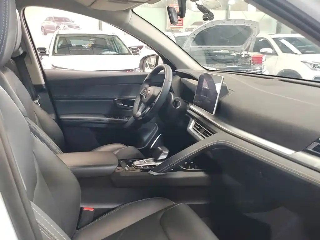 BYD Pro — миниатюра 2