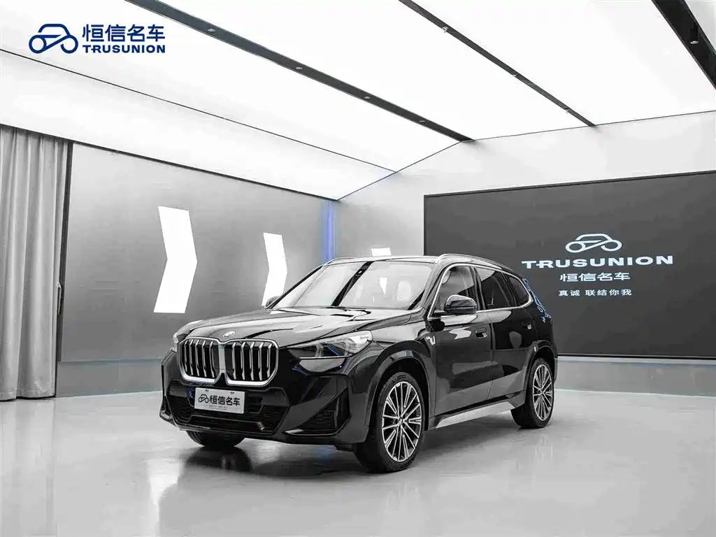BMW X1 — миниатюра 3