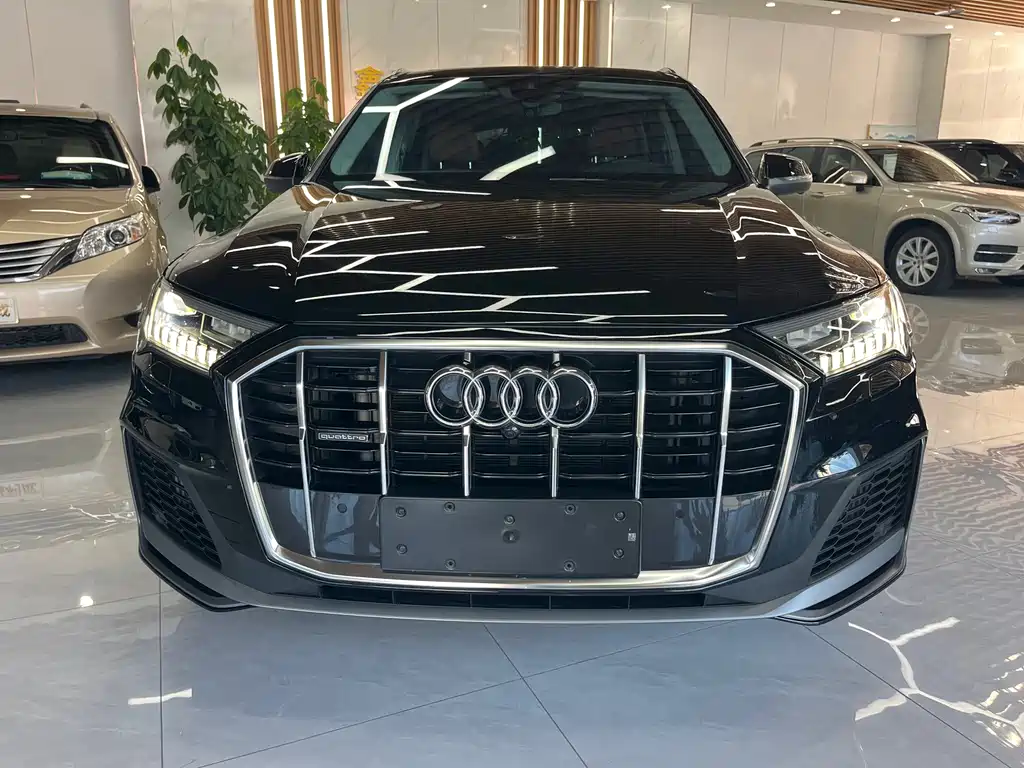 Audi Q7 — миниатюра 2