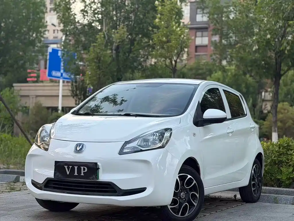 2022 Changan Benni EC/EV - zdjęcie 1 z 10