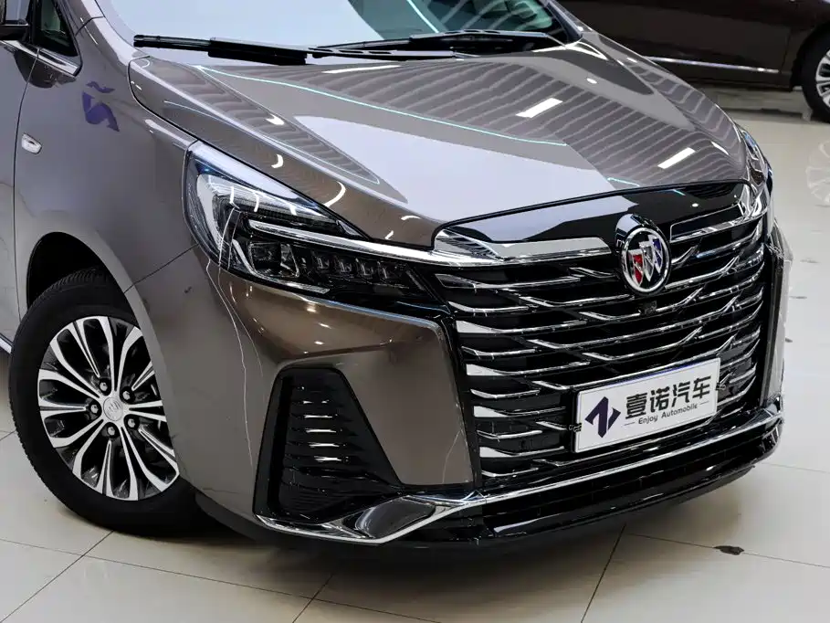 Buick GL8 — миниатюра 11
