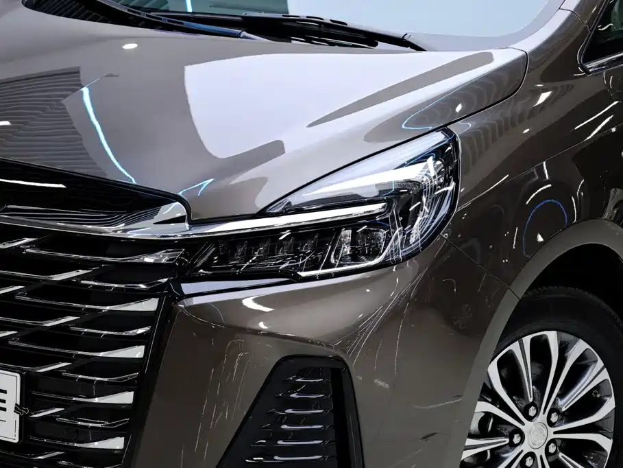 Buick GL8 — миниатюра 10