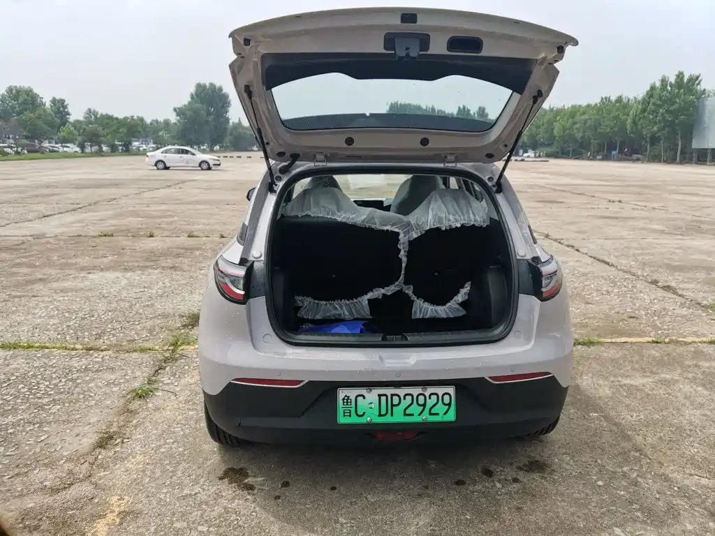 Geely Geome Xingyuan 2026 310km