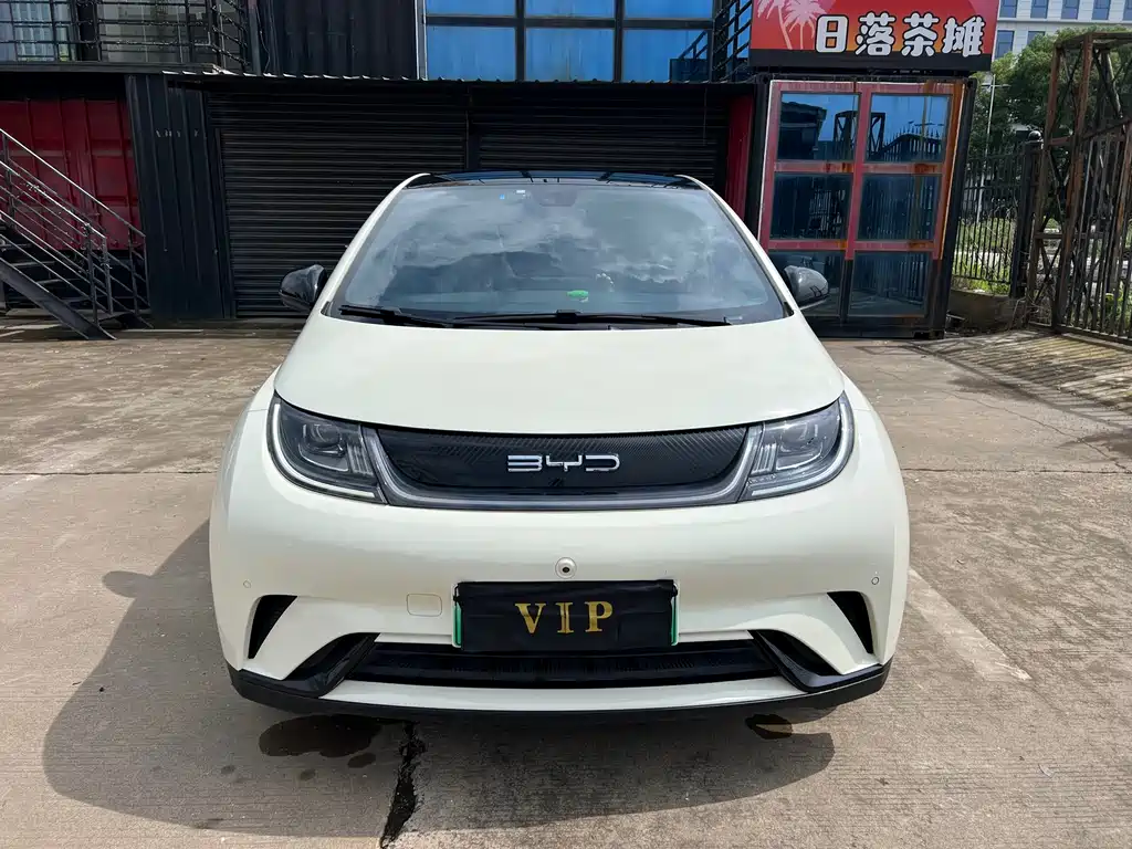 BYD Dolphin 2023 420km Fashion
