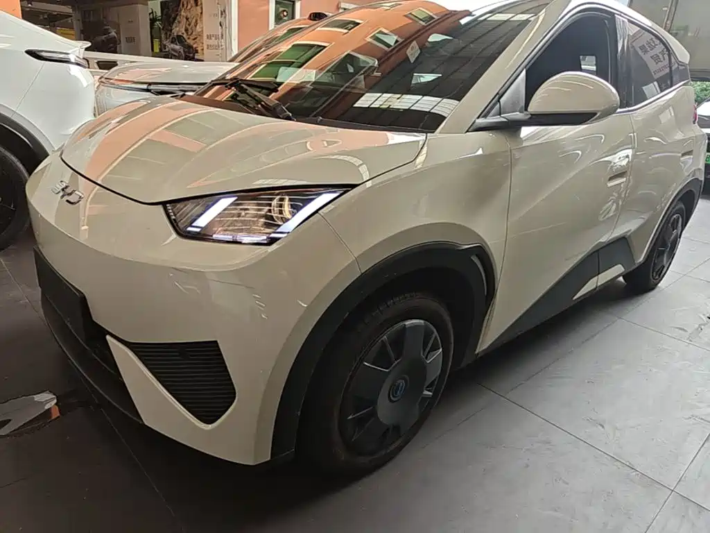 BYD Seagull