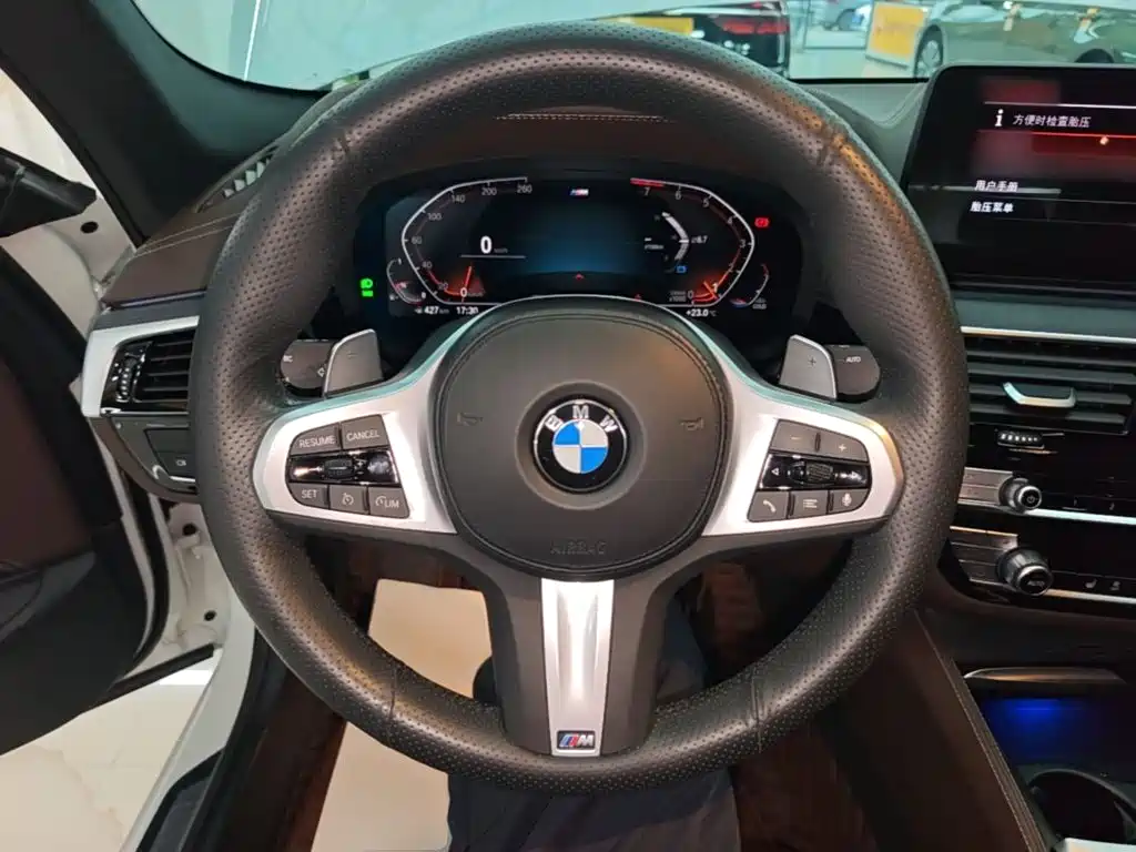 BMW 5 Series — миниатюра 11