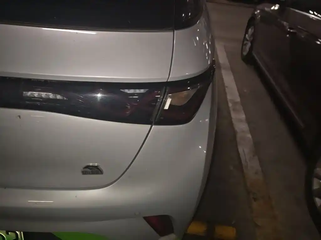 BYD Dolphin 2021 405km Fashion