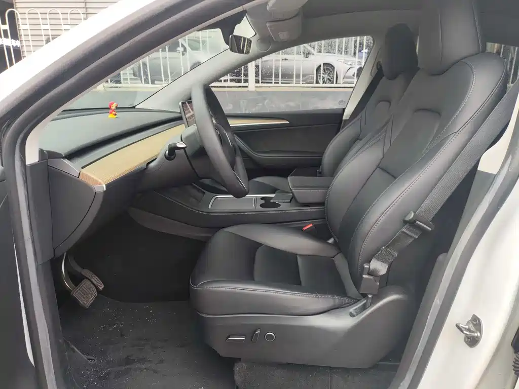Tesla Model Y — миниатюра 12