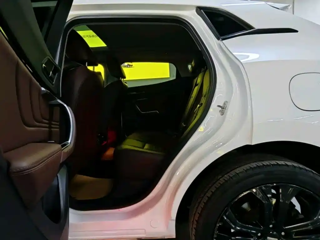 WEI PAI WEI BRAND VV5