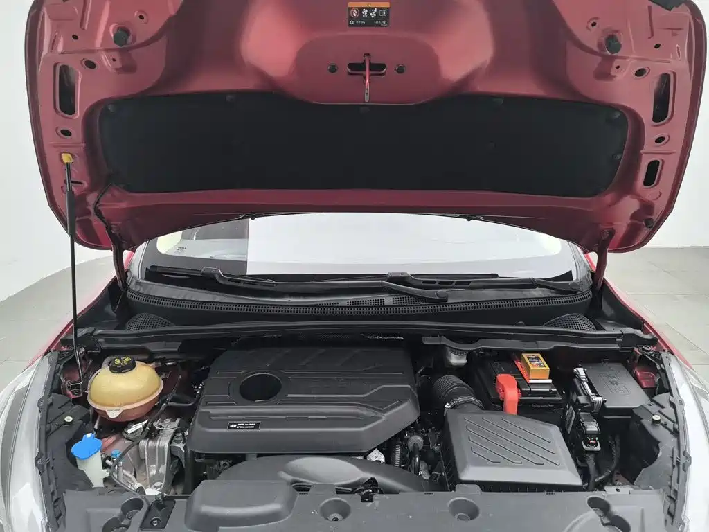 Geely Emgrand GS — миниатюра 6