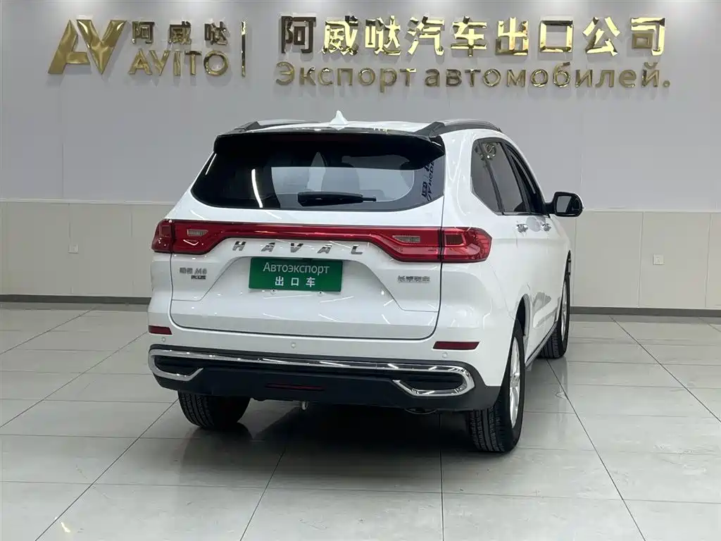 HAVAL M6