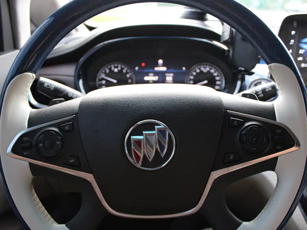 Buick GL8 — миниатюра 8