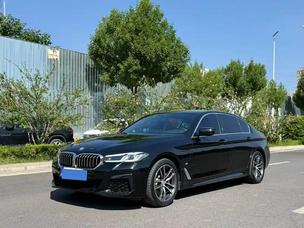 BMW 5 Series New Energy