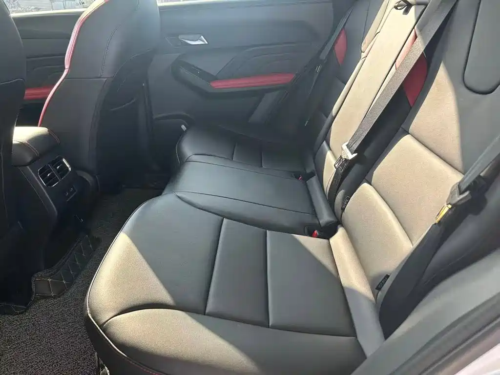 Haval Chitu — миниатюра 6