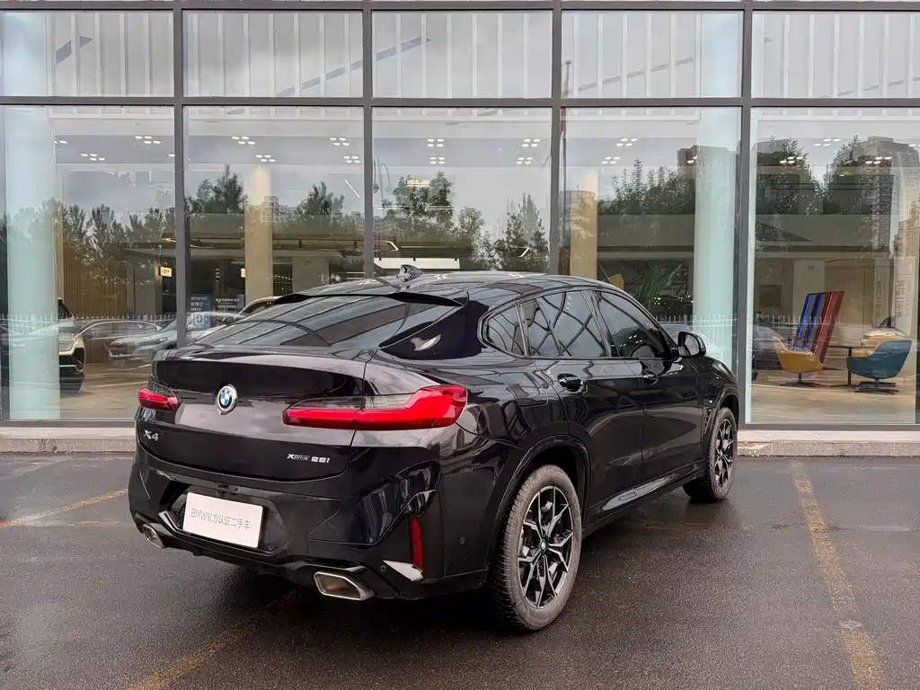 BMW X4 — миниатюра 7