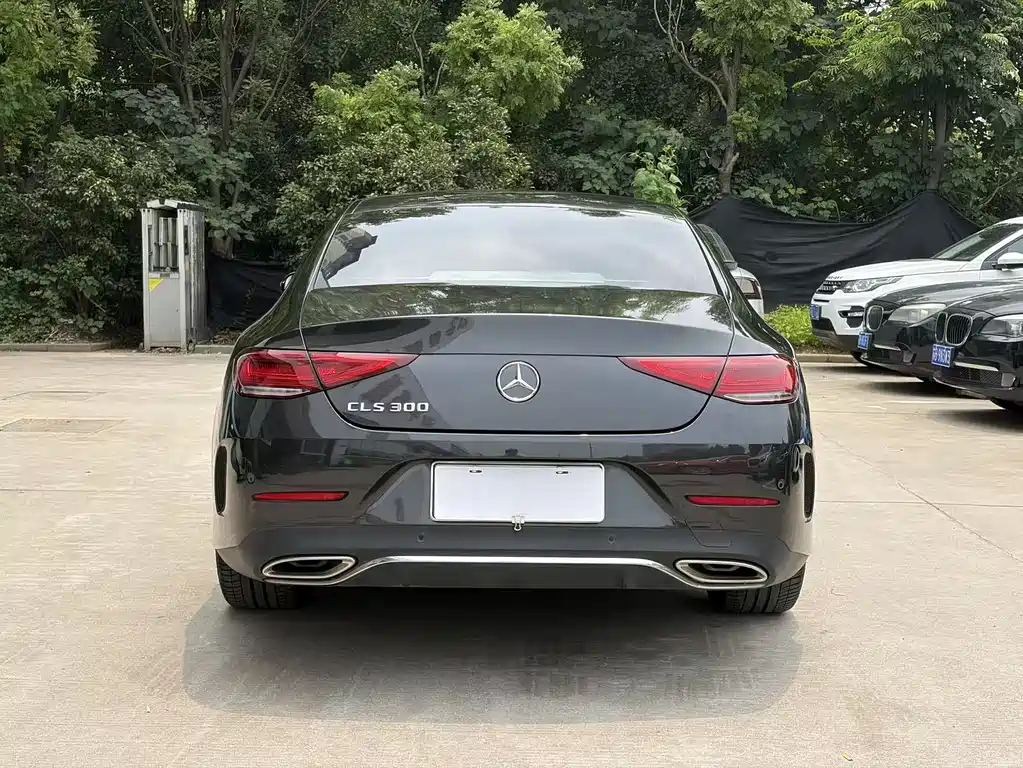 Mercedes-Benz CLS 2022 CLS 300 Luxury
