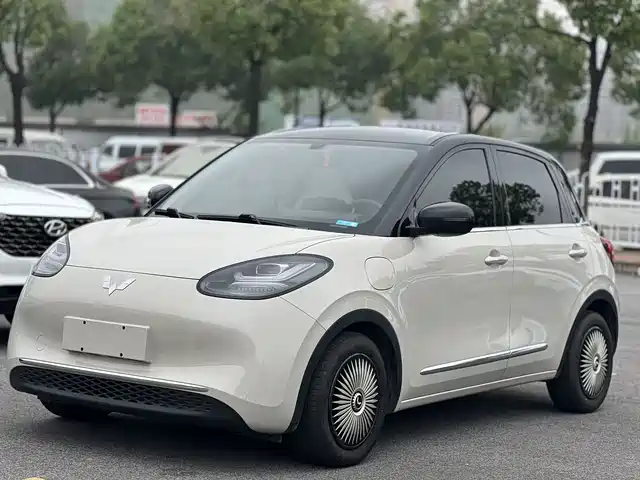 2024 Wuling Motors Binguo