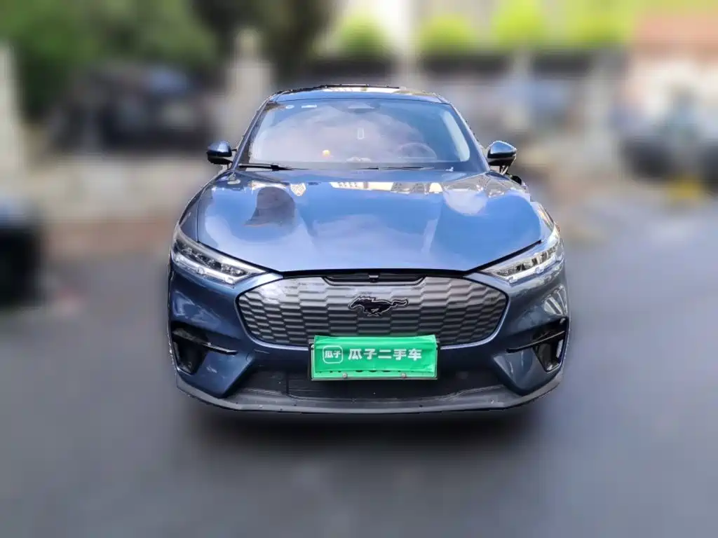 Ford Mustang Mach-E — миниатюра 23