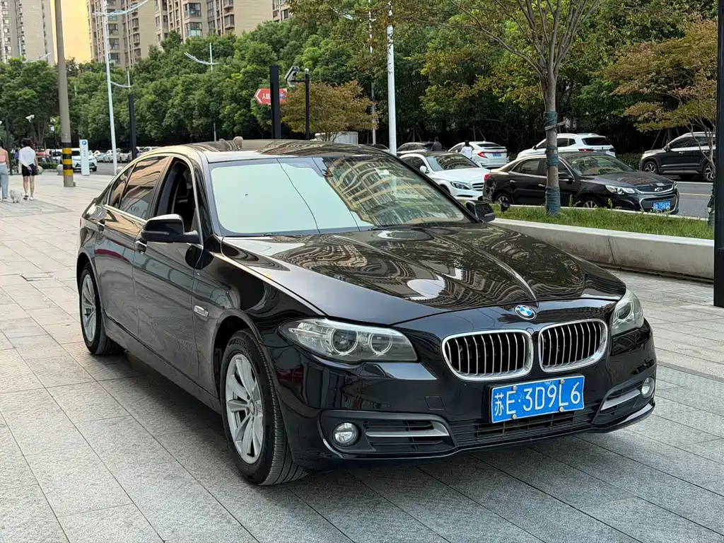 BMW 5 Series — миниатюра 3