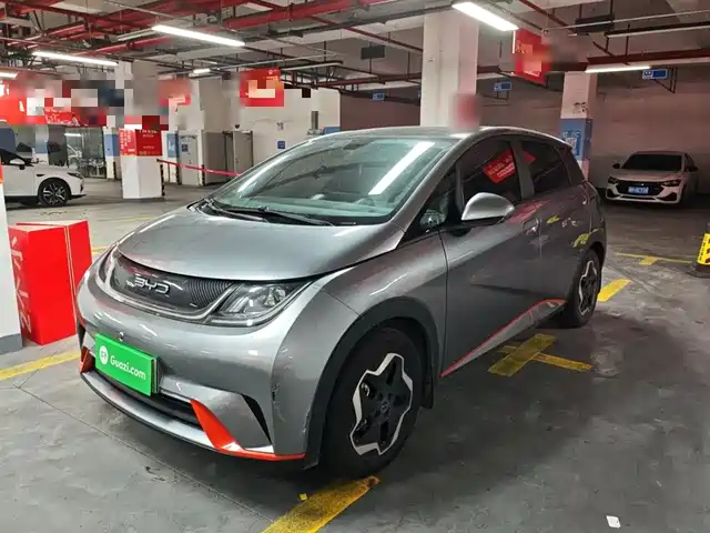 2022 BYD Dolphin