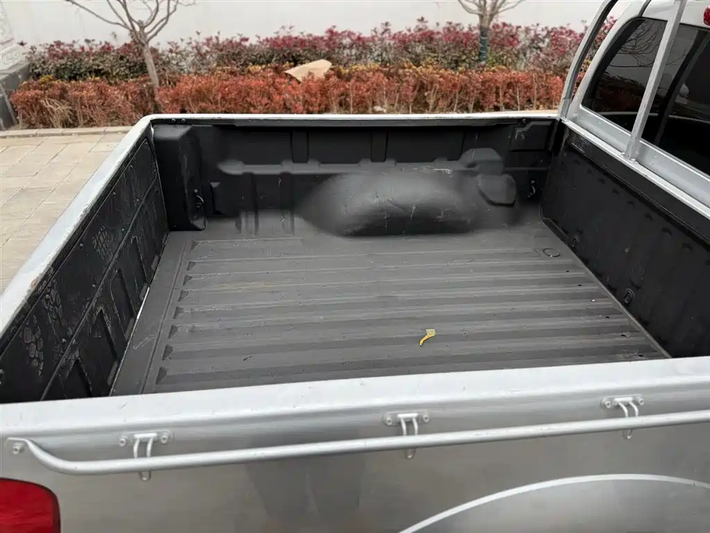 GREAT WALL FENGJUN 5