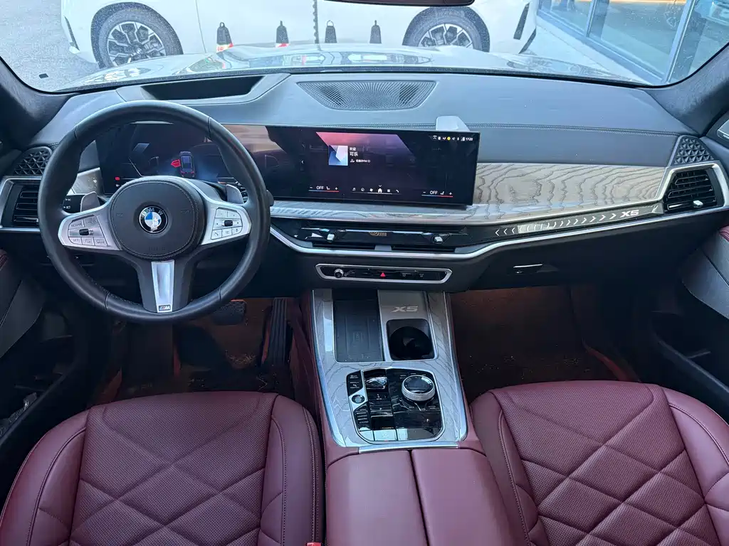 BMW X5 — миниатюра 13