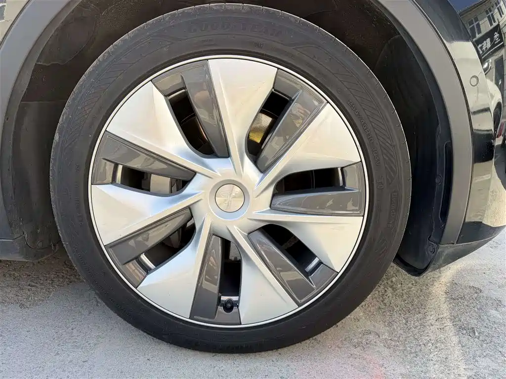 Tesla Model Y — миниатюра 19