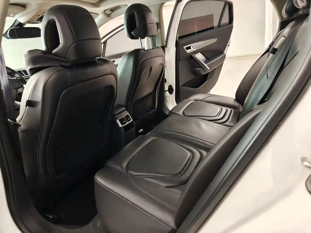 DS DS 5LS — миниатюра 9