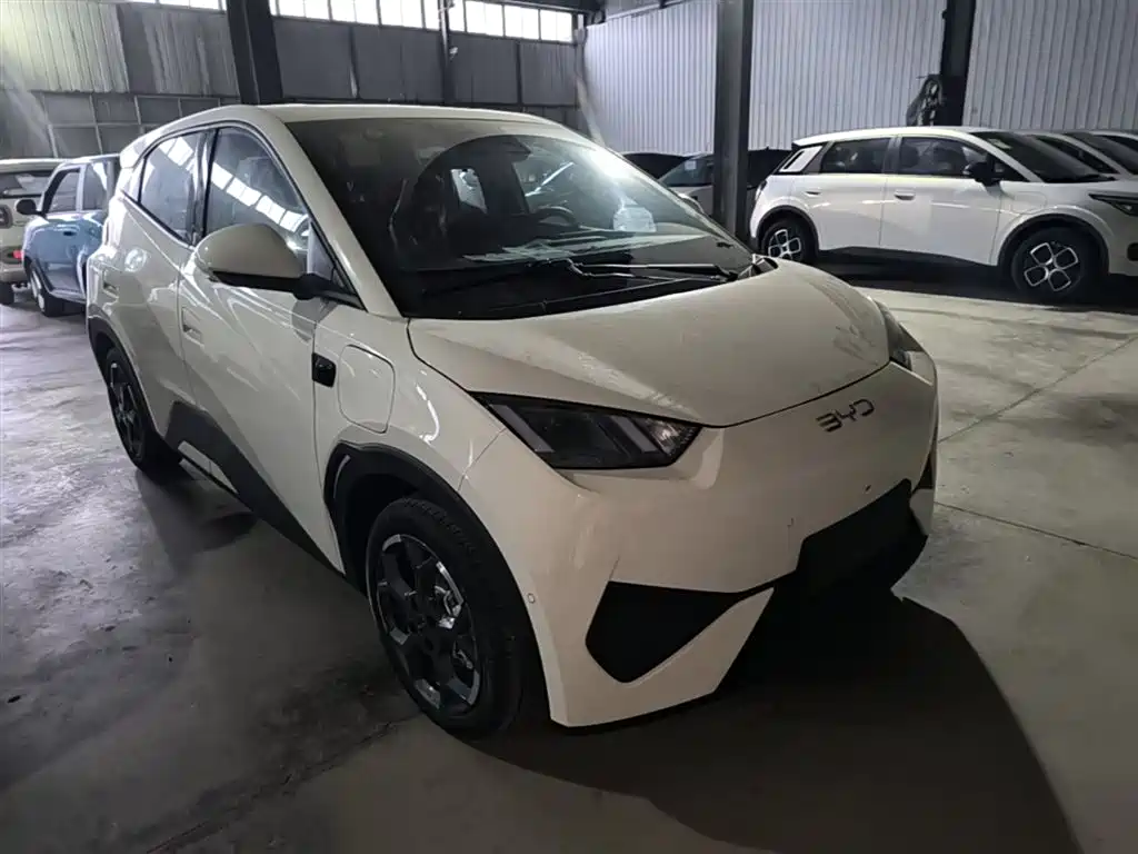 BYD Seagull 2025 Smart Drive 305km Freedom