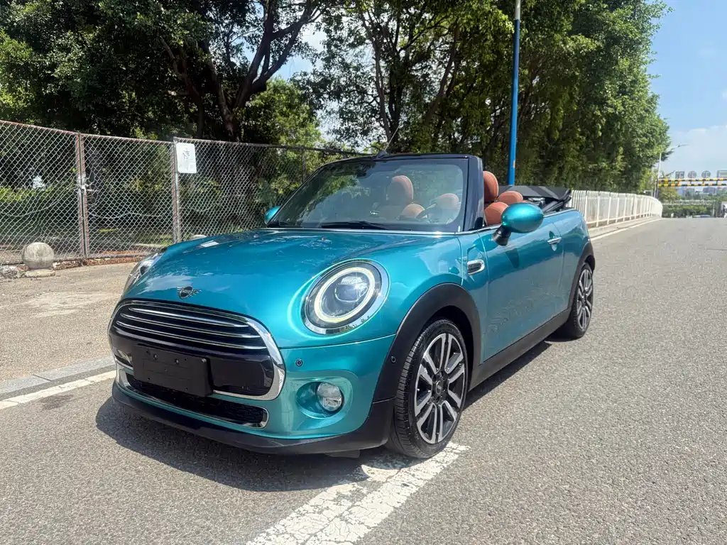 Mini Mini 2019