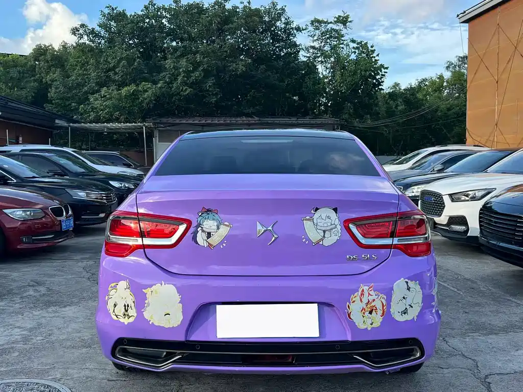 DS DS 5LS — миниатюра 8