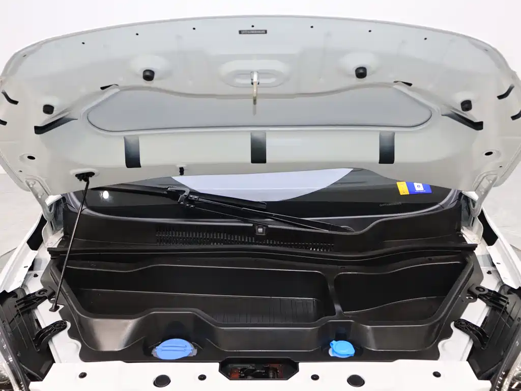 Leapmotor T03 2024 310