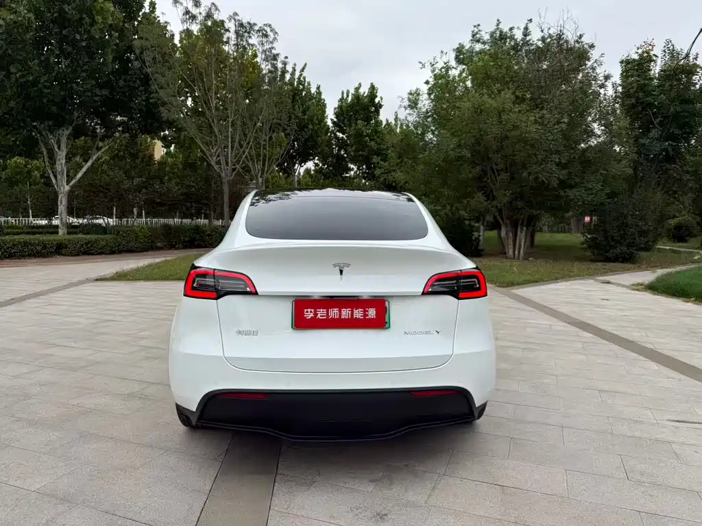 Tesla Model Y — миниатюра 8