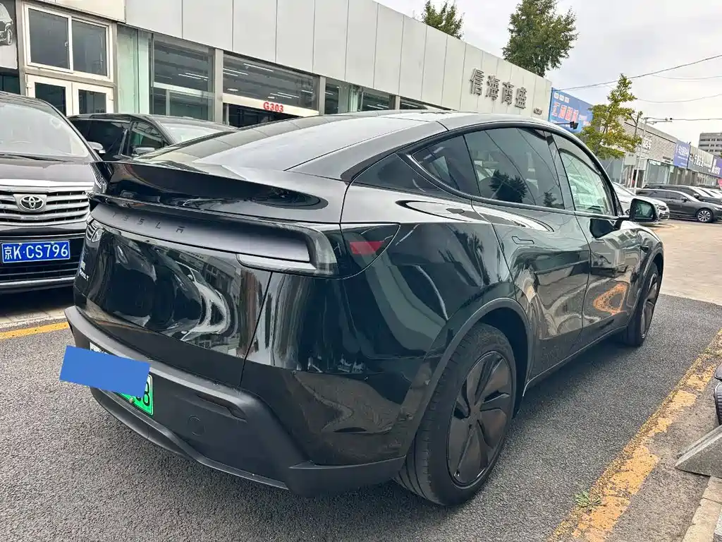 Tesla Model Y — миниатюра 11