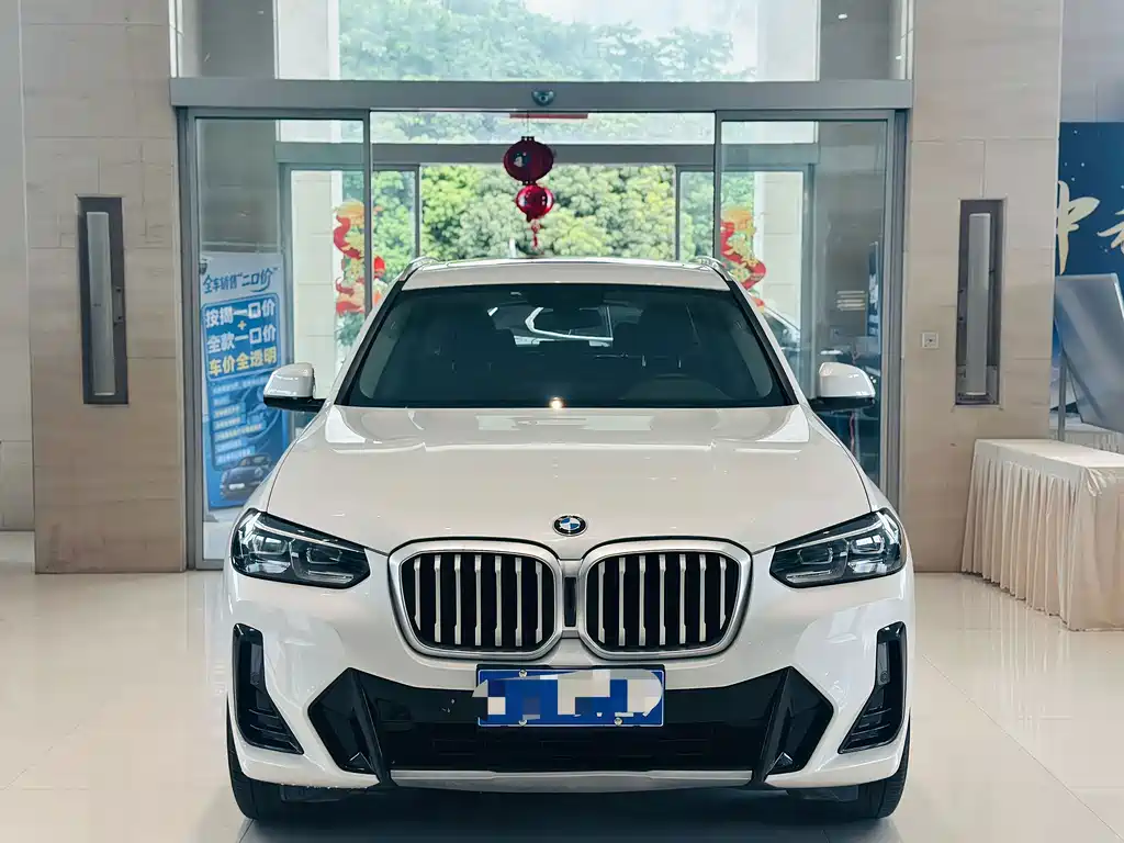 BMW X3 — миниатюра 2