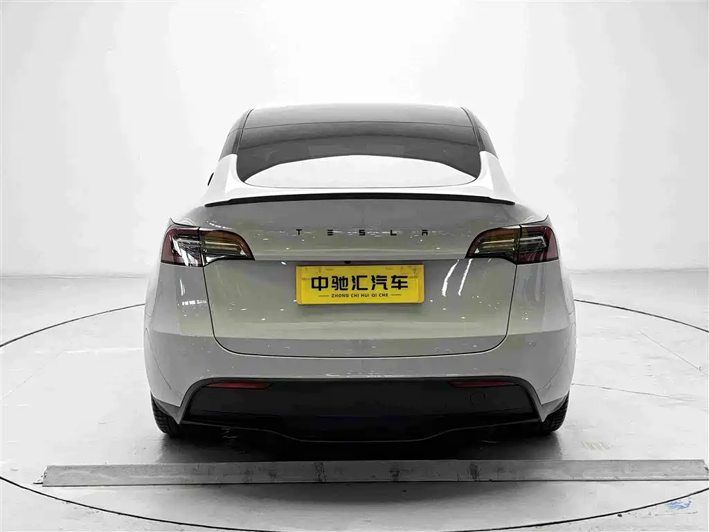 Tesla Model Y — миниатюра 19